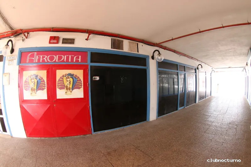 Club 55 Afrodita