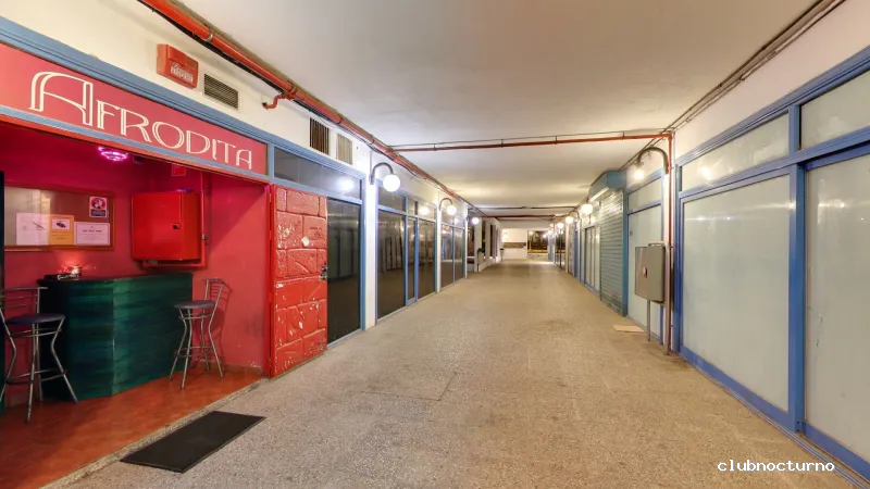 Club 55 Afrodita