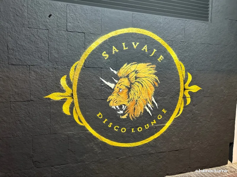 Salvaje Disco Lounge