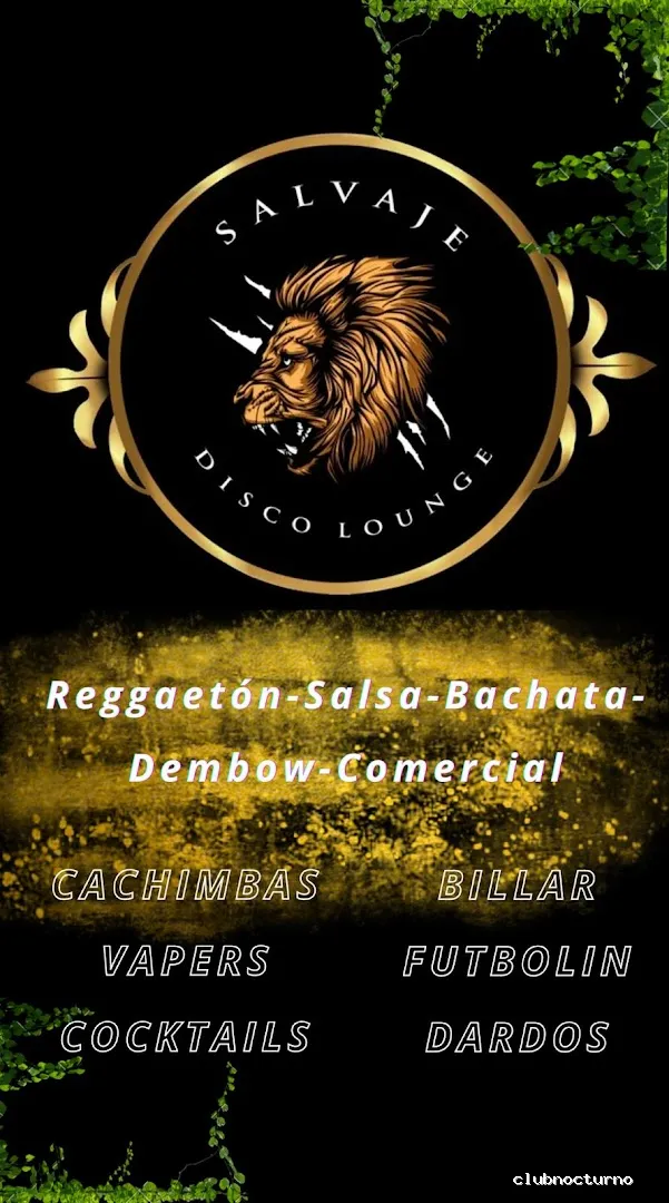 Salvaje Disco Lounge