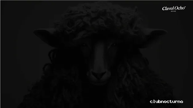 Clavel Ocho Café y Copas