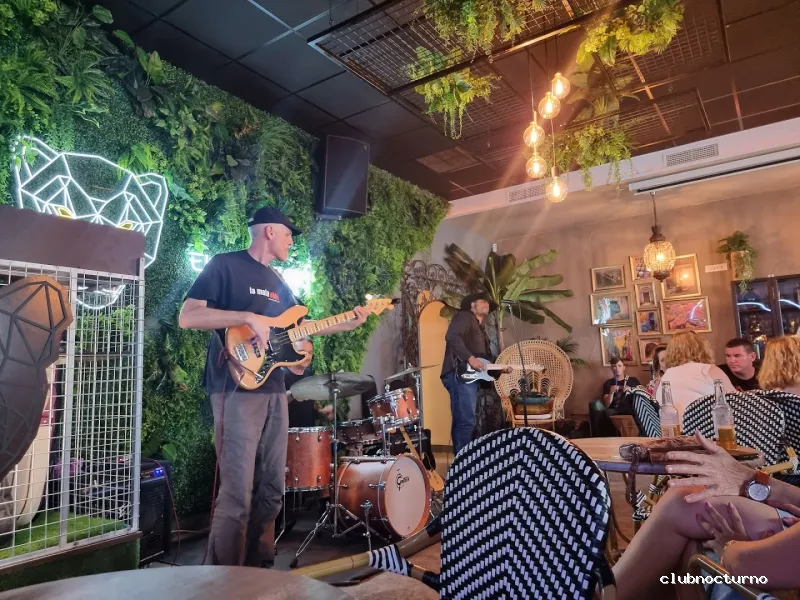 Pub El Manglar de Bagheera