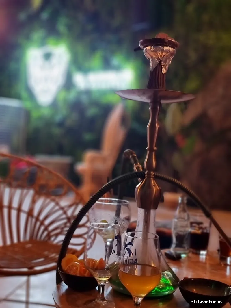 Pub El Manglar de Bagheera