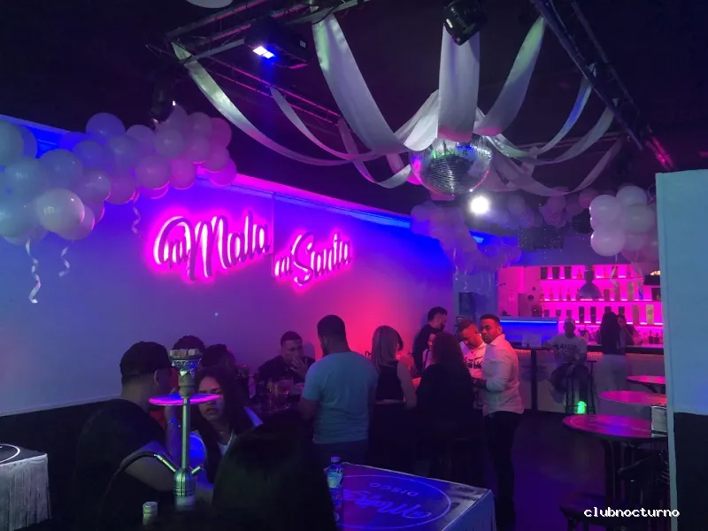 discoteca ni mala ni santa