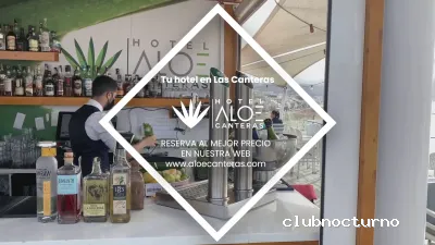 Rooftop & Terrace Aloe