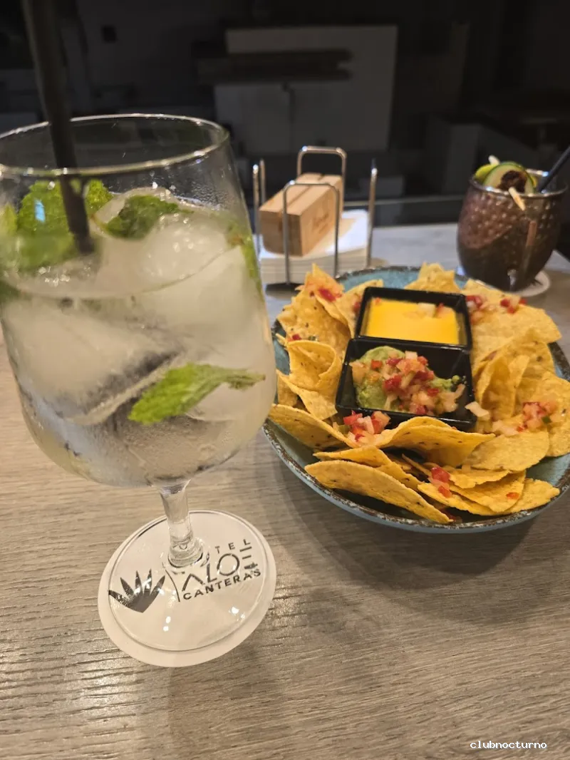 Rooftop & Terrace Aloe