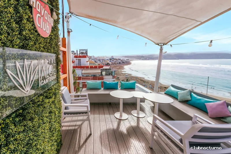 Rooftop & Terrace Aloe