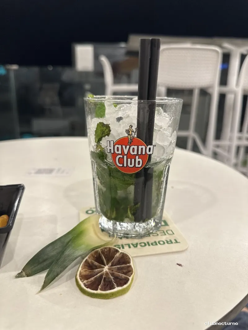 Rooftop & Terrace Aloe