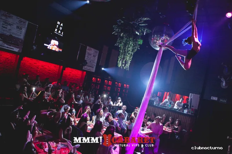 DESPEDIDAS PREMIÈRE | Despedidas & Fiestas