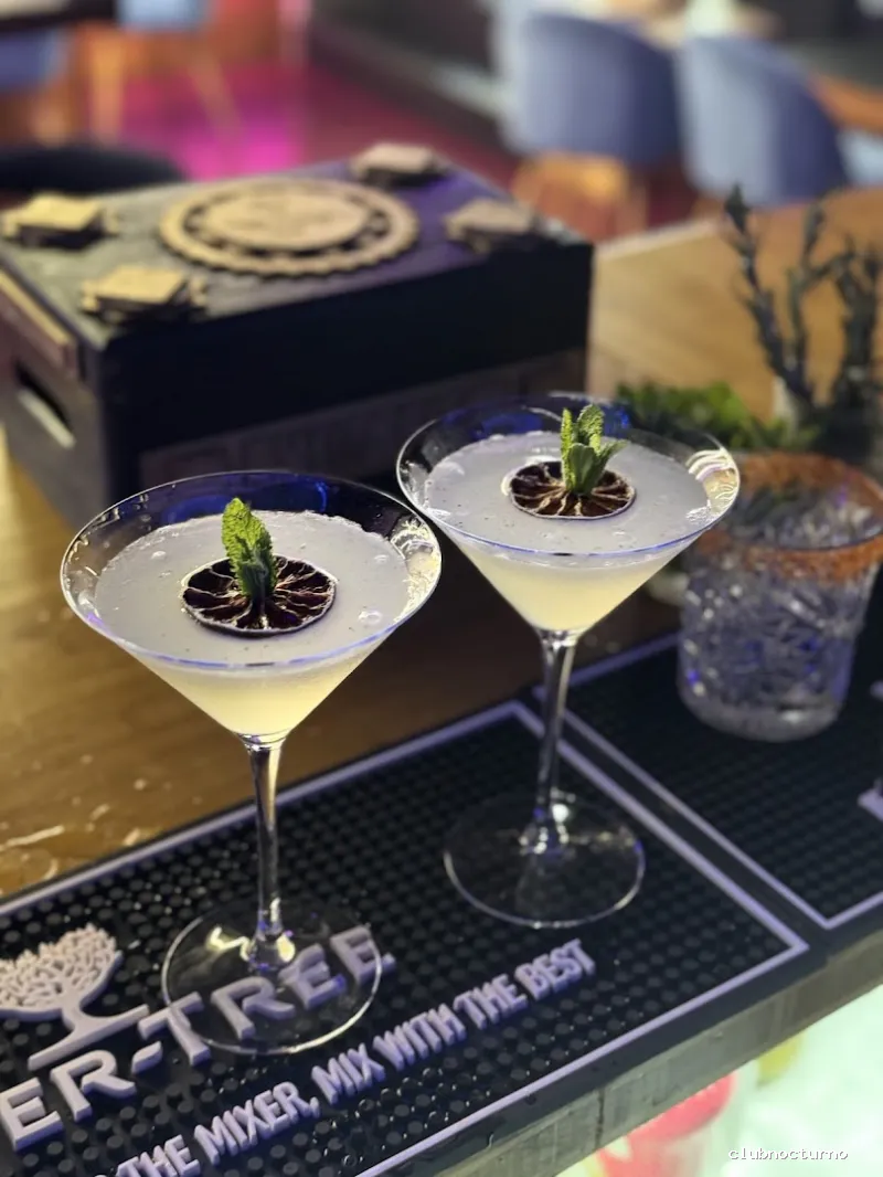Le Rocher – Cocktail Bar & Shisha Lounge en Sarrià - Barcelona