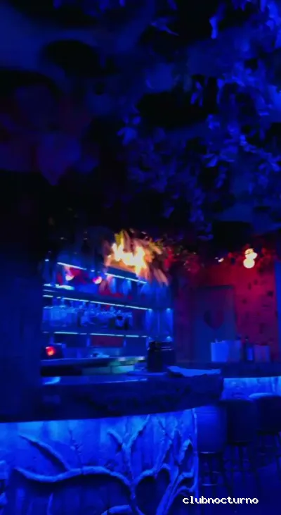 strip club Barcelona | EVA Club | escort club