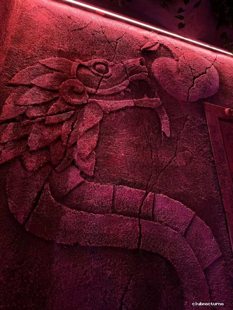 strip club Barcelona | EVA Club | escort club