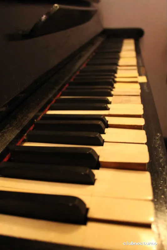 Coctelería en Salamanca La Regenta Gin Club