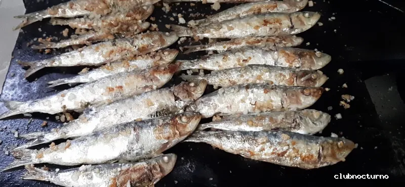 Bar cafetería Orense